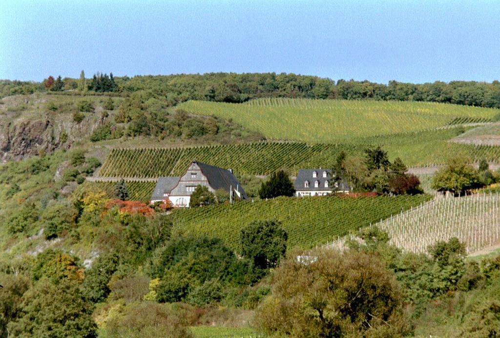 Gut Hermannsberg, Gaestehaus Niederhausen Экстерьер фото